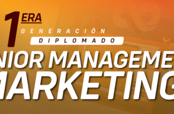 senior management marketing