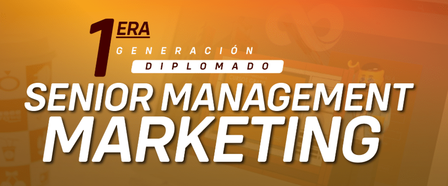 senior management marketing