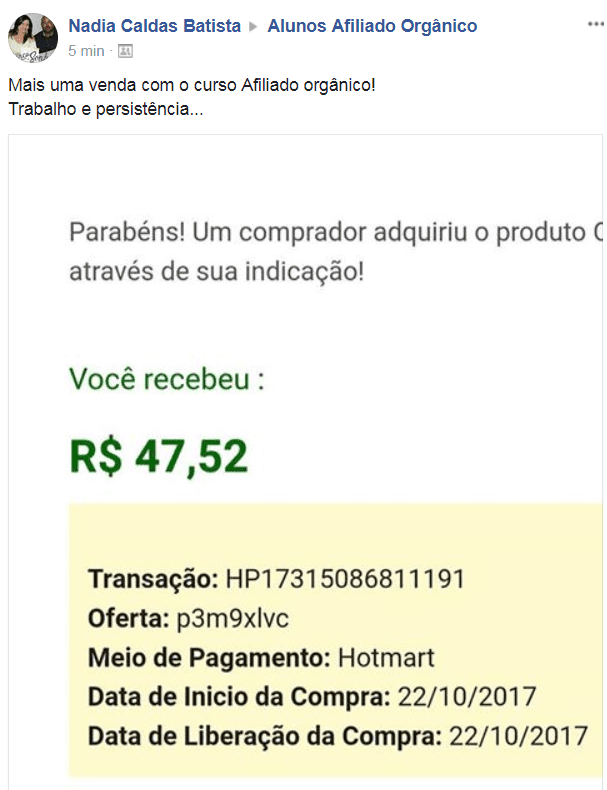 Curso De Marketing Digital Para Afiliados Leonardo David o que é