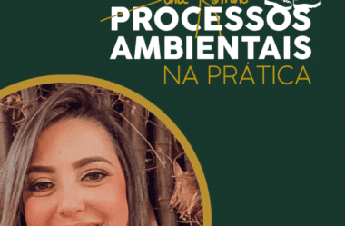 Processos Ambientais na Prática Sara Romero Curso É Bom?