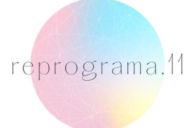 REPROGRAMA.11 Funciona Vale a Pena?