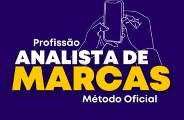 Analista de Marcas Como Funciona?
