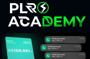 PLR Academy É Bom Mesmo Vale a Pena? [PLR Download]