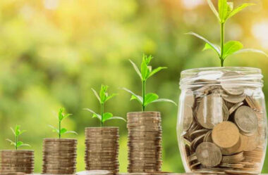 10 Pilares da Sabedoria Financeira: Estratégias para o Sucesso nos Investimentos