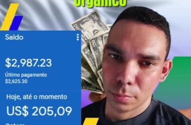 Segredo Do Tráfego Orgânico Renan Silva Funciona Vale a Pena?