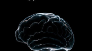 Programa Manual Humano Gisele Almeida: Desperte Seu Potencial